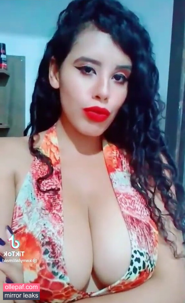 Latest Leaks Kamylla Lima Nude #62 - Fapello