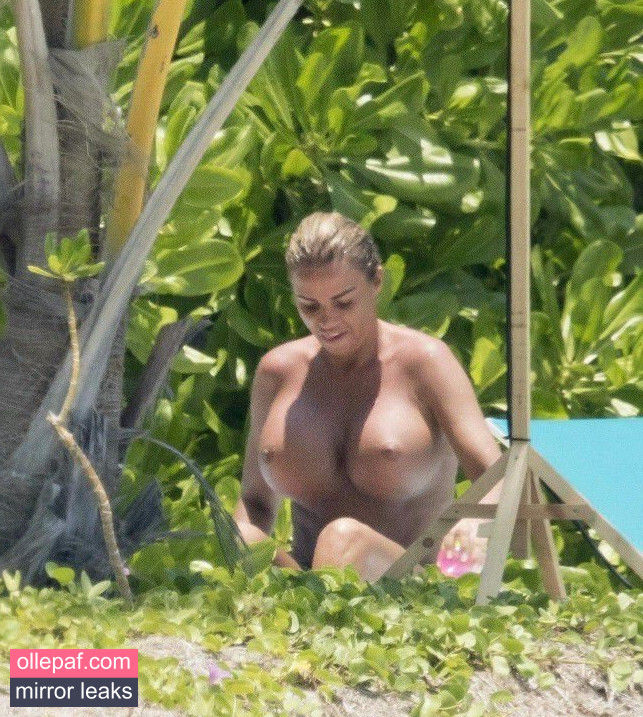 Latest Leaks Katie Price Nude #159 - Fapello
