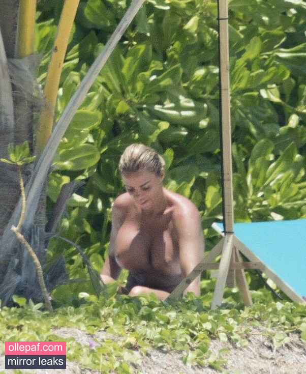 Latest Leaks Katie Price Nude #173 - Fapello