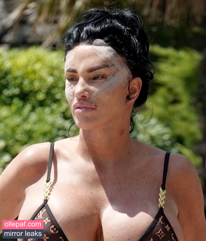 Latest Leaks Katie Price Nude #211 - Fapello