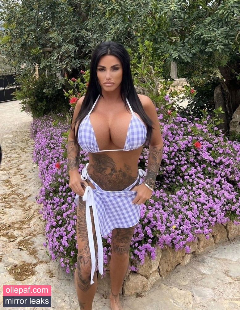 Latest Leaks Katie Price Nude #436 - Fapello