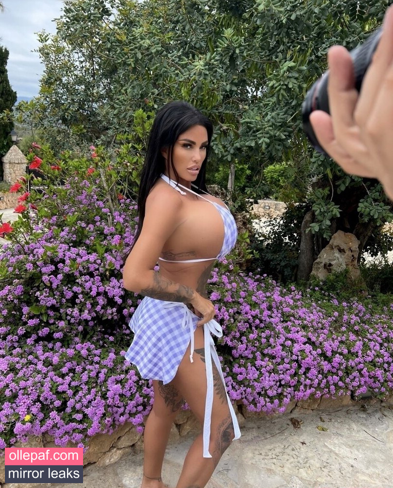 Latest Leaks Katie Price Nude #438 - Fapello