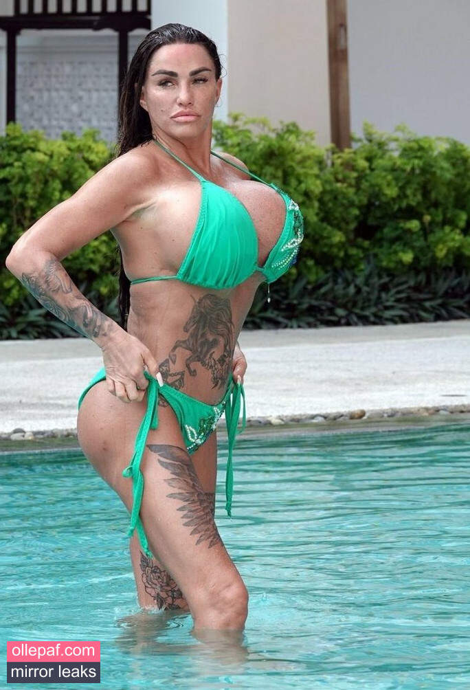 Latest Leaks Katie Price Nude #483 - Fapello