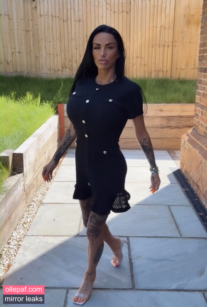 Latest Leaks Katie Price Nude #62 - Fapello