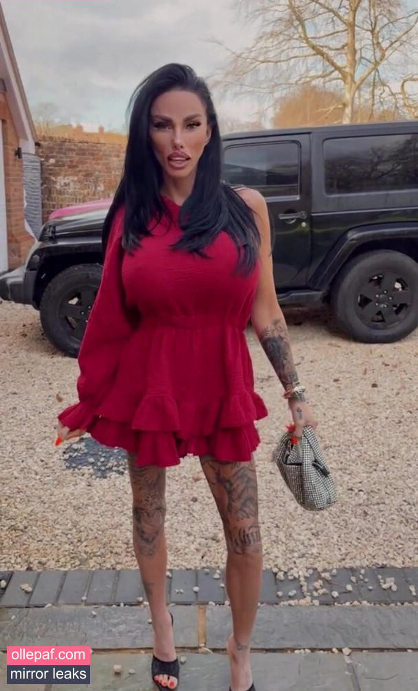 Latest Leaks Katie Price Nude #73 - Fapello