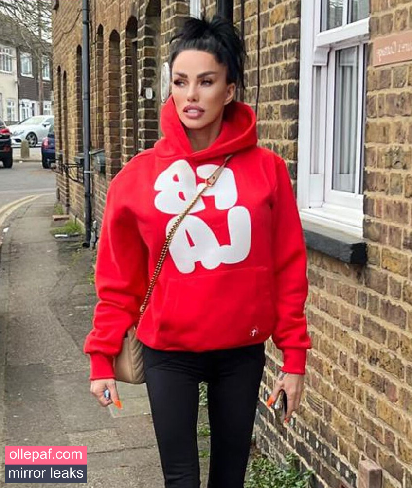 Latest Leaks Katie Price Nude #84 - Fapello