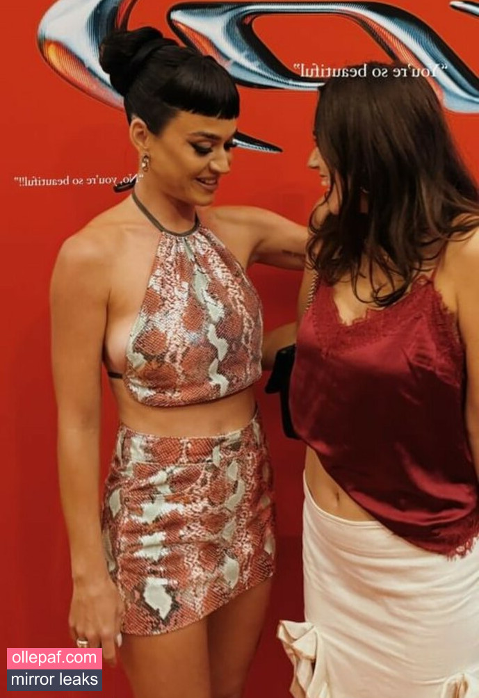 Latest Leaks Katy Perry Nude #1125 - Fapello