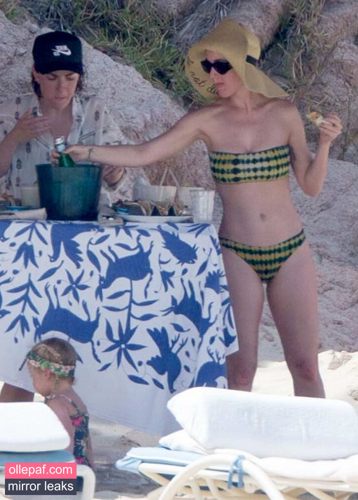 Latest Leaks Katy Perry Nude #128 - Fapello