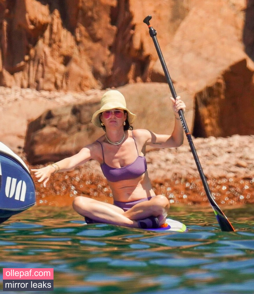 Latest Leaks Katy Perry Nude #1314 - Fapello