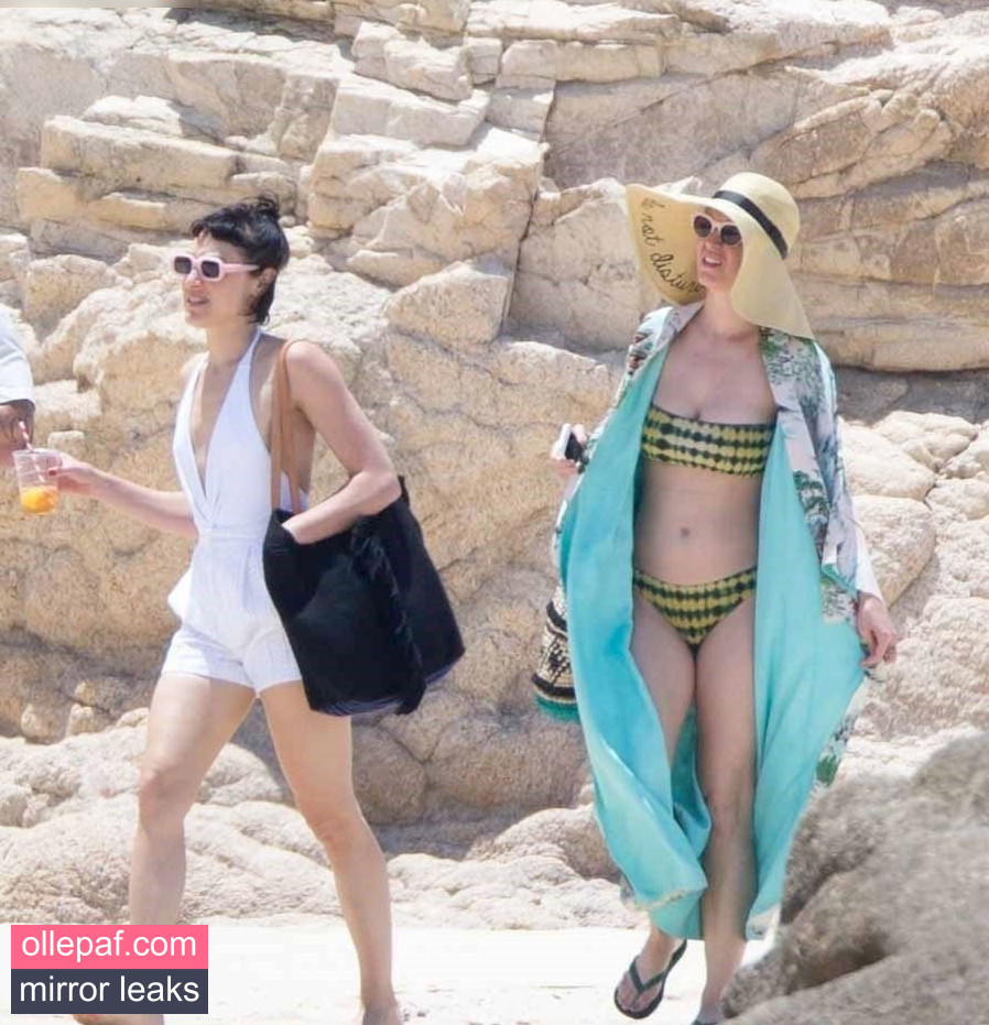 Latest Leaks Katy Perry Nude #146 - Fapello