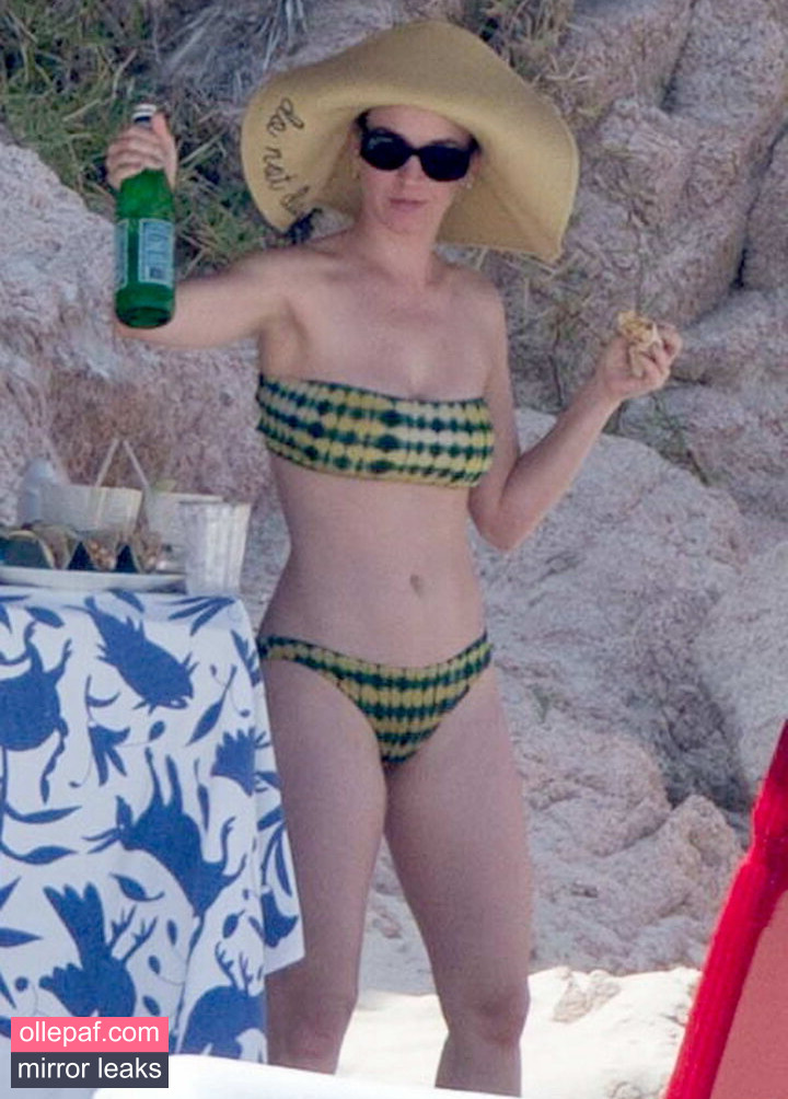 Latest Leaks Katy Perry Nude #150 - Fapello