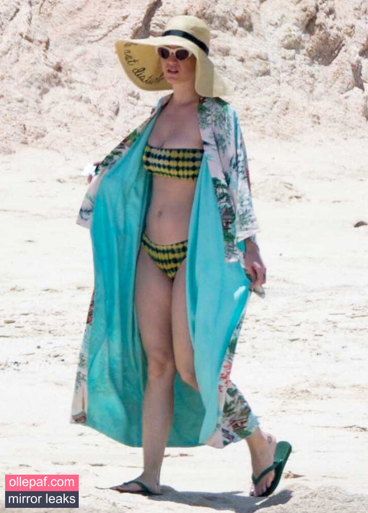 Latest Leaks Katy Perry Nude #158 - Fapello