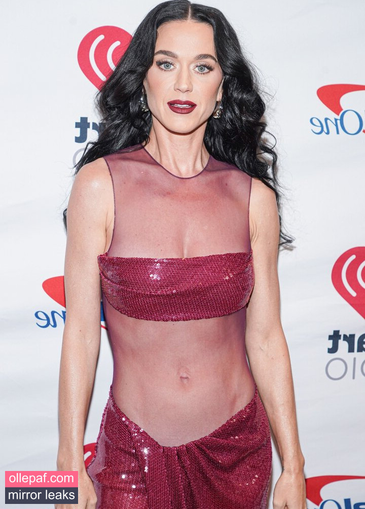 Latest Leaks Katy Perry Nude #240 - Fapello