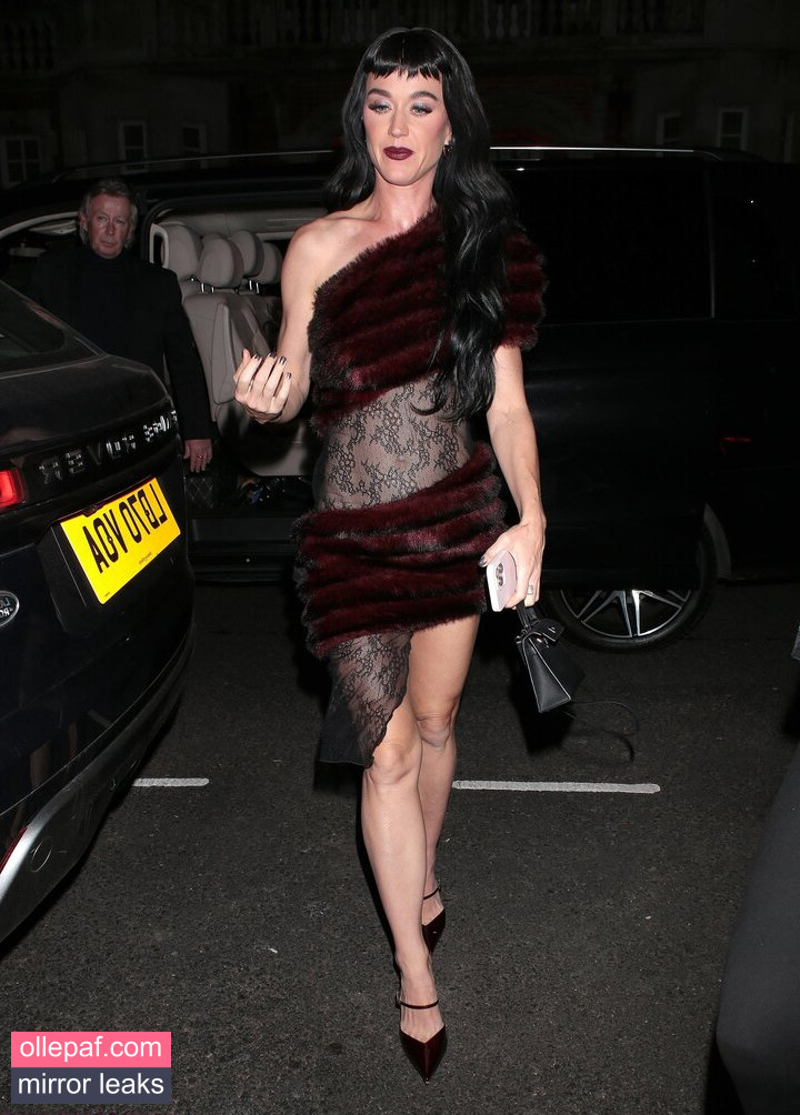 Latest Leaks Katy Perry Nude #353 - Fapello