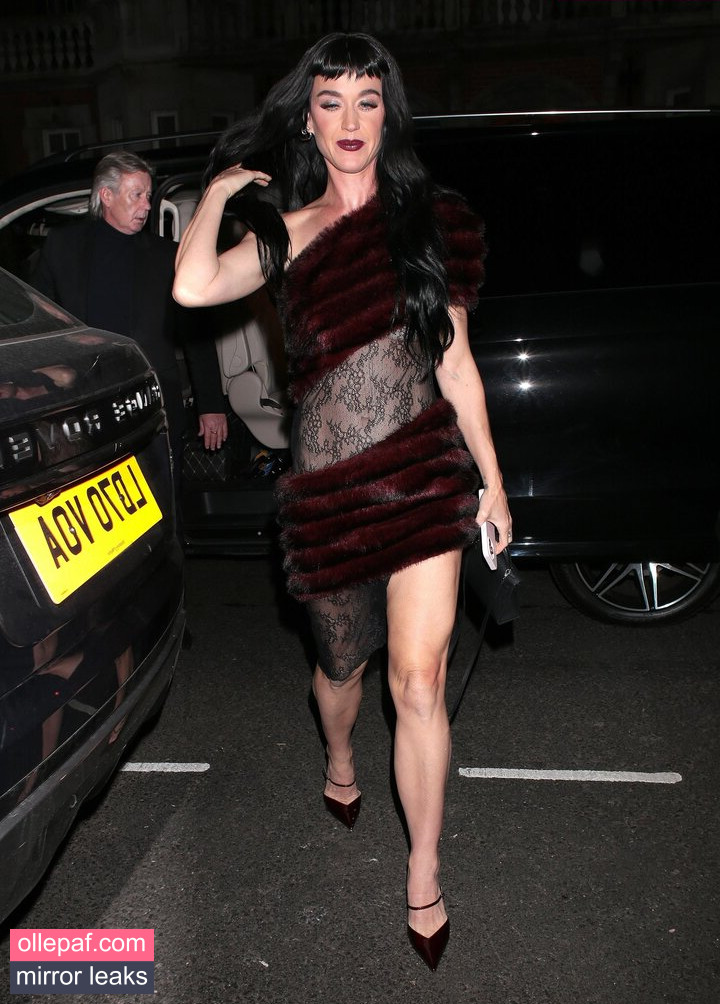 Latest Leaks Katy Perry Nude #354 - Fapello