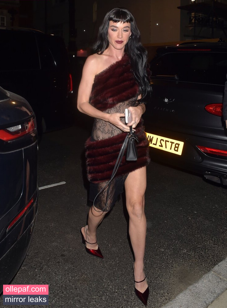 Latest Leaks Katy Perry Nude #359 - Fapello
