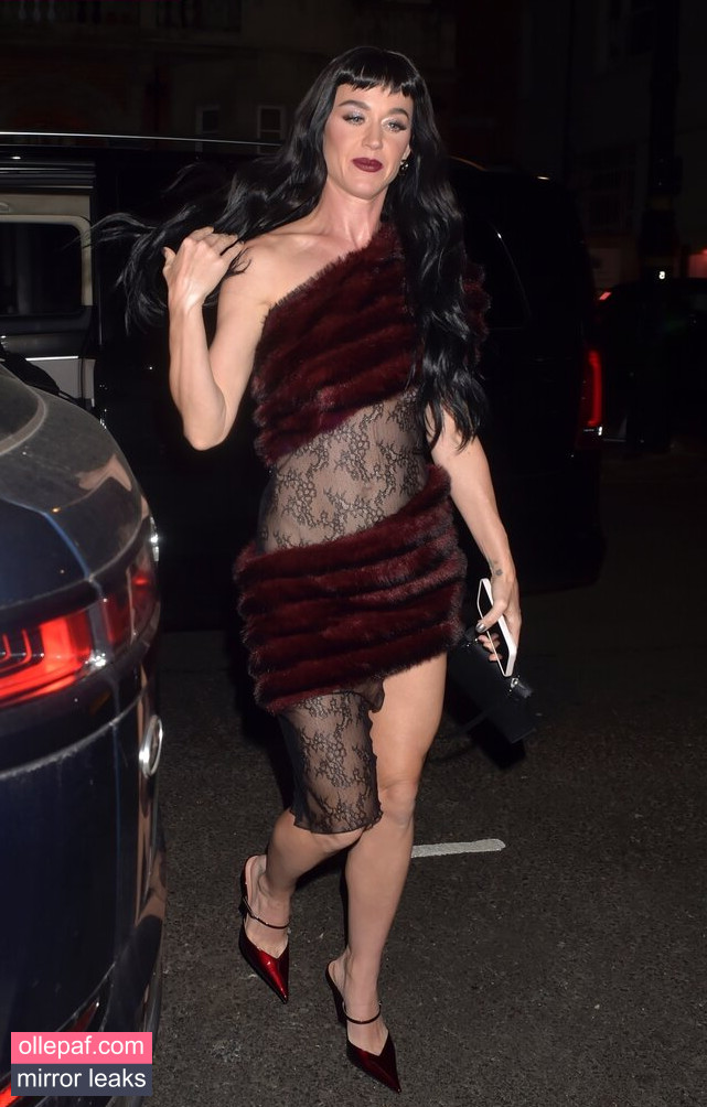 Latest Leaks Katy Perry Nude #360 - Fapello