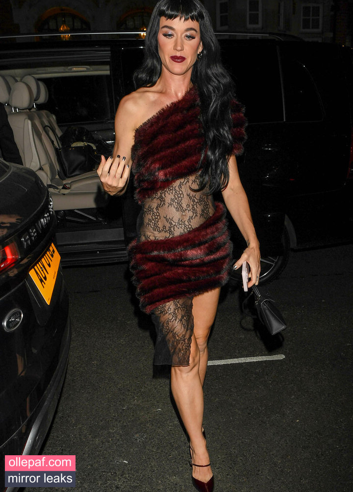 Latest Leaks Katy Perry Nude #370 - Fapello