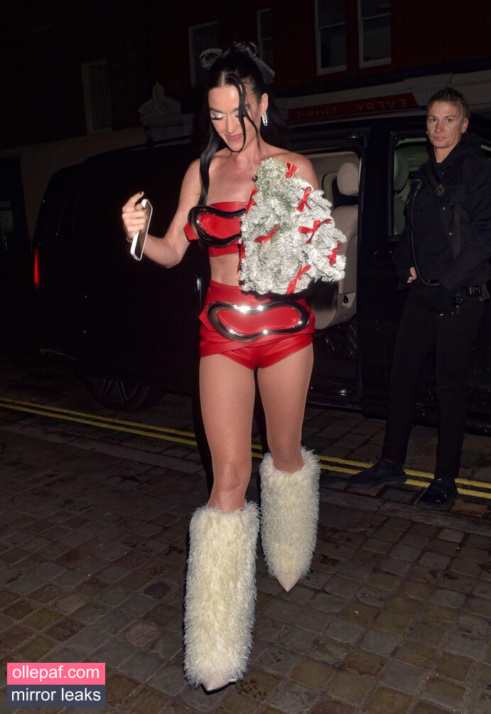 Latest Leaks Katy Perry Nude #399 - Fapello