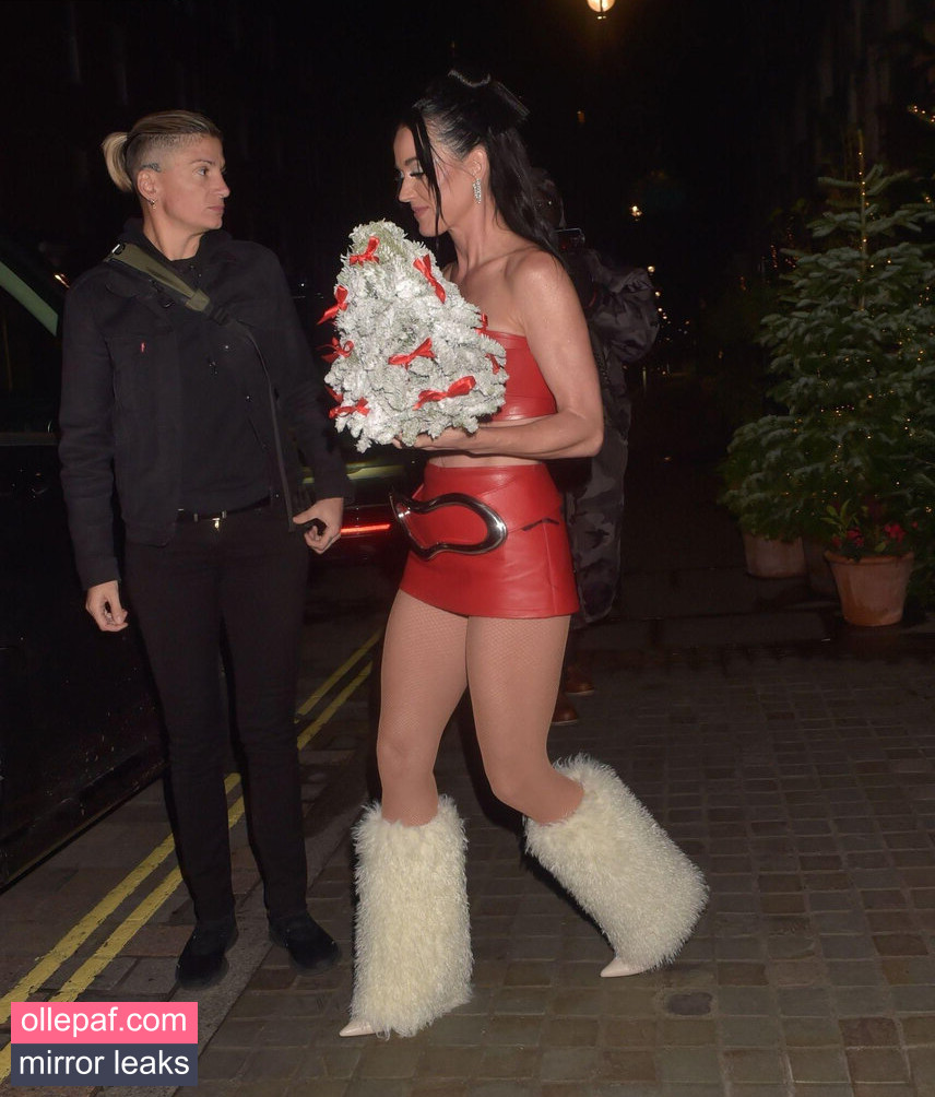 Latest Leaks Katy Perry Nude #404 - Fapello