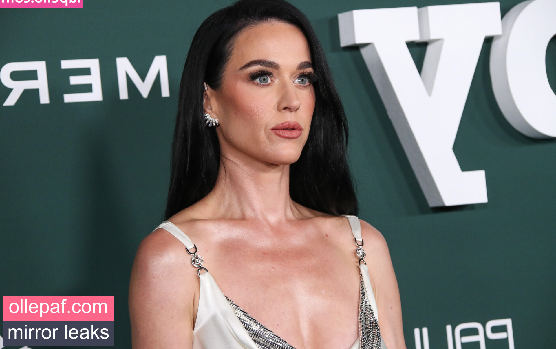 Latest Leaks Katy Perry Nude #507 - Fapello