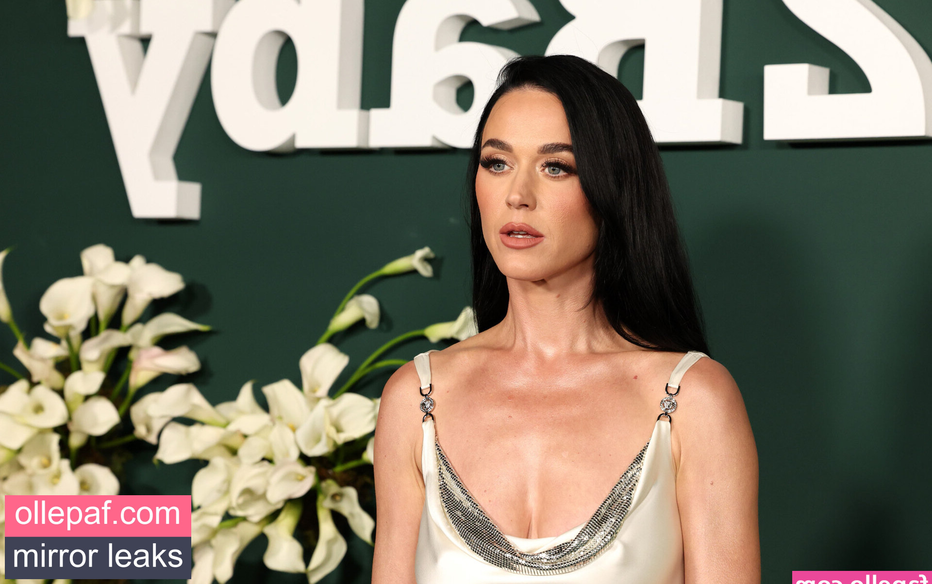 Latest Leaks Katy Perry Nude #508 - Fapello