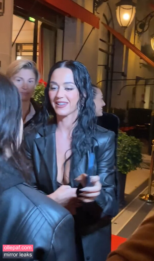 Latest Leaks Katy Perry Nude #685 - Fapello