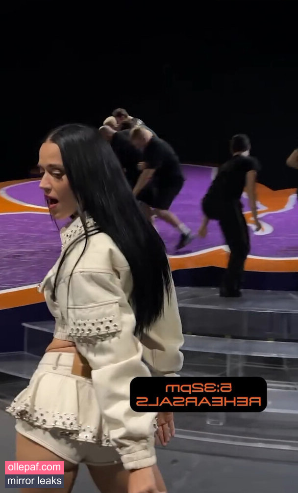 Latest Leaks Katy Perry Nude #781 - Fapello