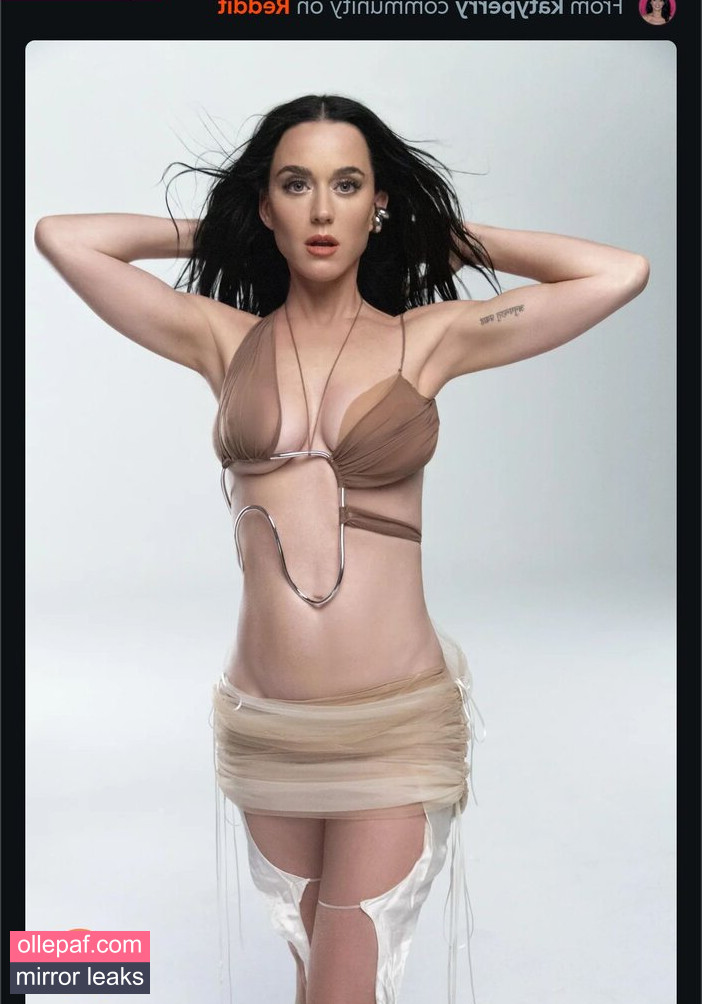 Latest Leaks Katy Perry Nude #812 - Fapello