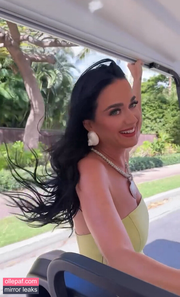 Latest Leaks Katy Perry Nude #85 - Fapello