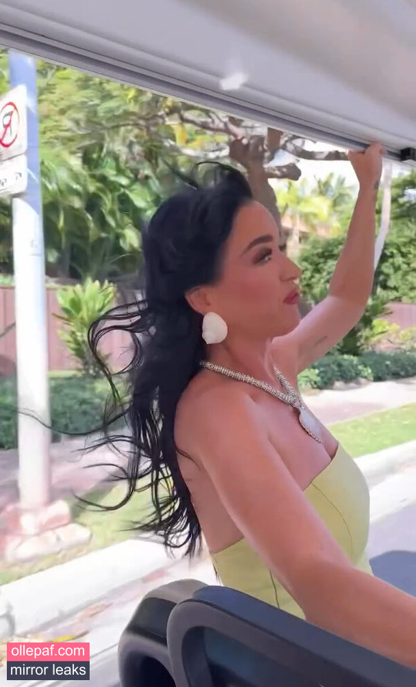 Latest Leaks Katy Perry Nude #86 - Fapello