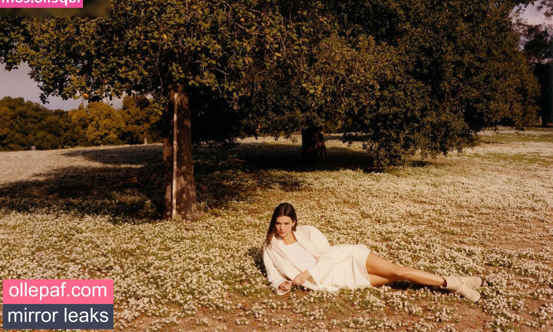 Latest Leaks Kendall Jenner Nude #1095 - Fapello