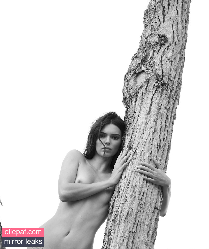 Latest Leaks Kendall Jenner Nude #4033 - Fapello