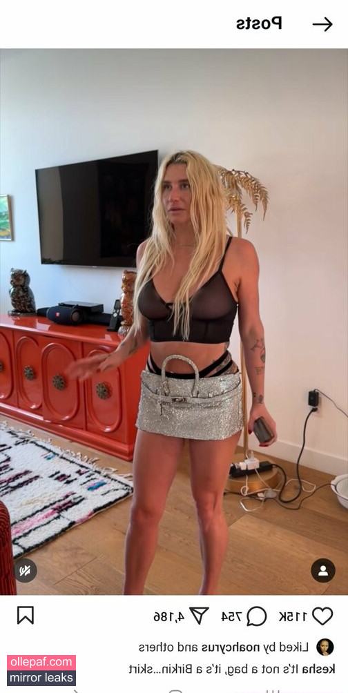 Latest Leaks Kesha Nude #163 - Fapello