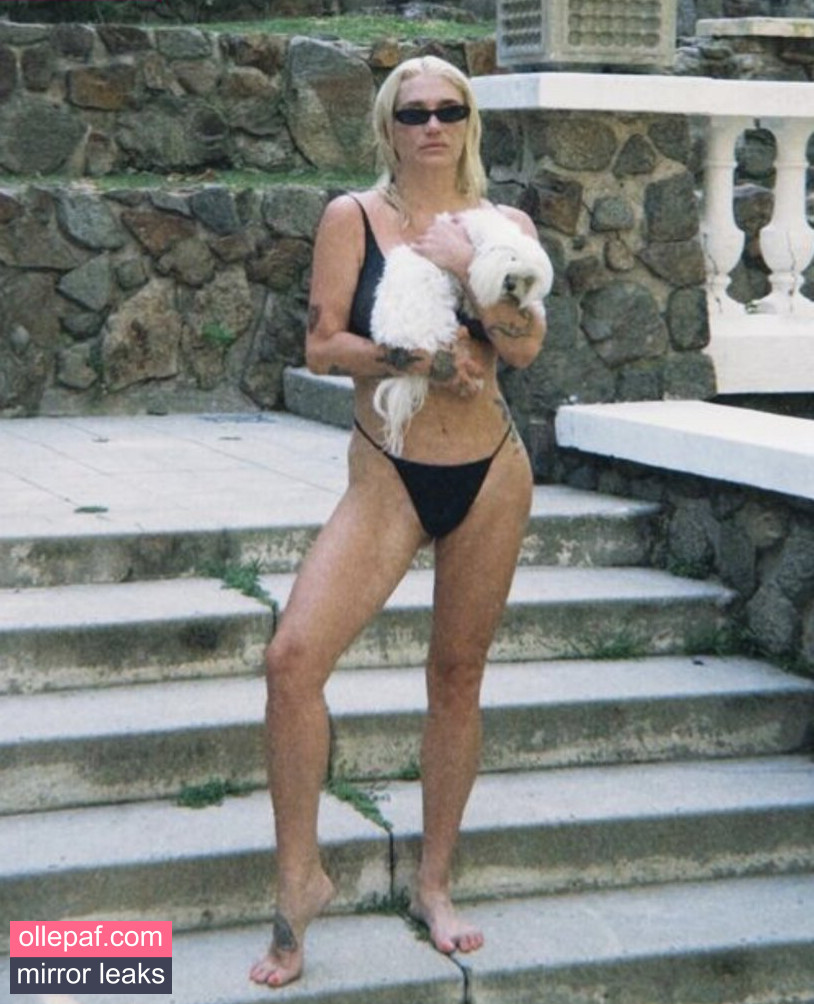 Latest Leaks Kesha Nude #245 - Fapello