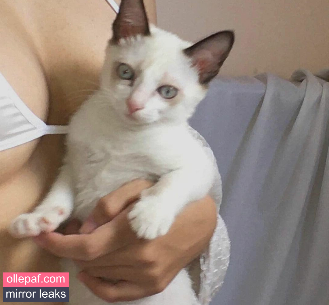 Latest Leaks kewlercat Nude #213 - Fapello