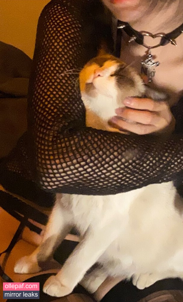 Latest Leaks kewlercat Nude #38 - Fapello