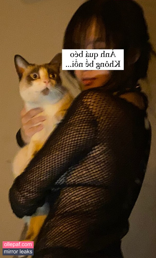 Latest Leaks kewlercat Nude #47 - Fapello