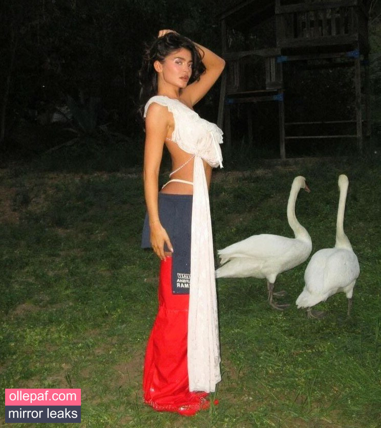 Latest Leaks Kylie Jenner Nude #529 - Fapello