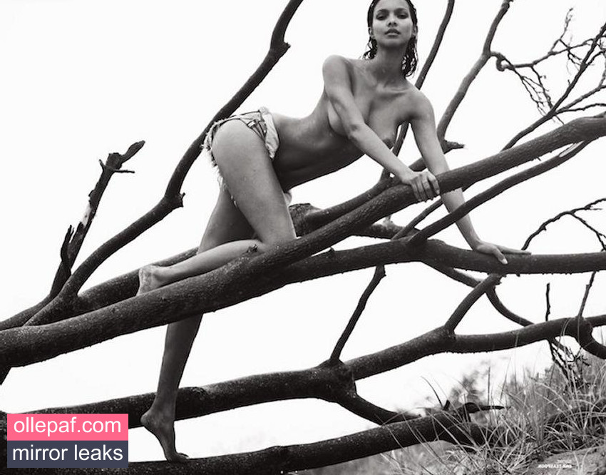 Latest Leaks Lais Ribeiro Nude #319 - Fapello