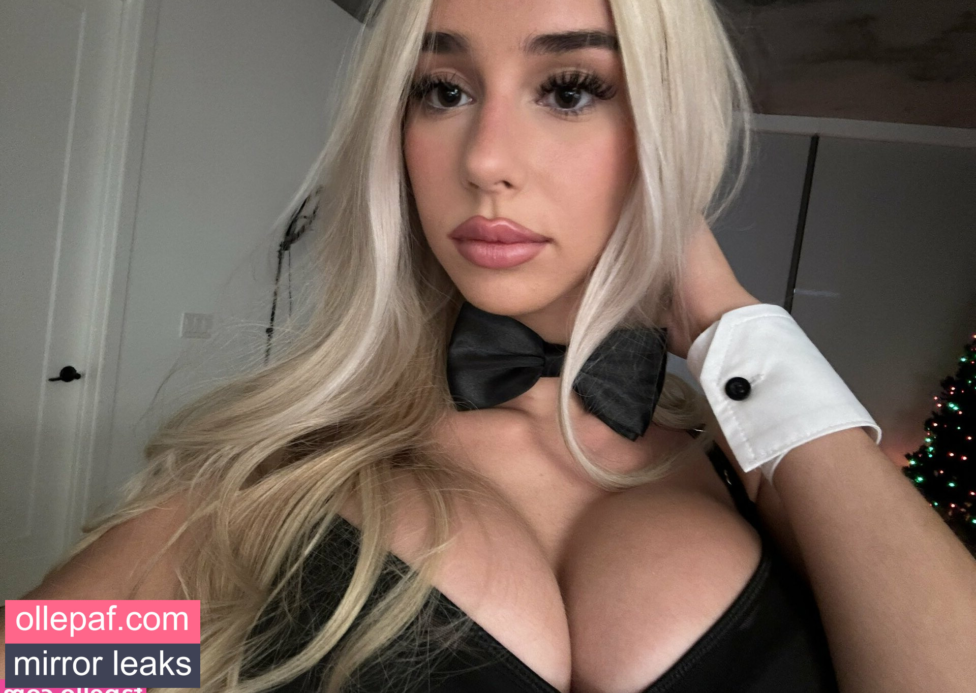 Latest Leaks lapdog Nude #17 - Fapello