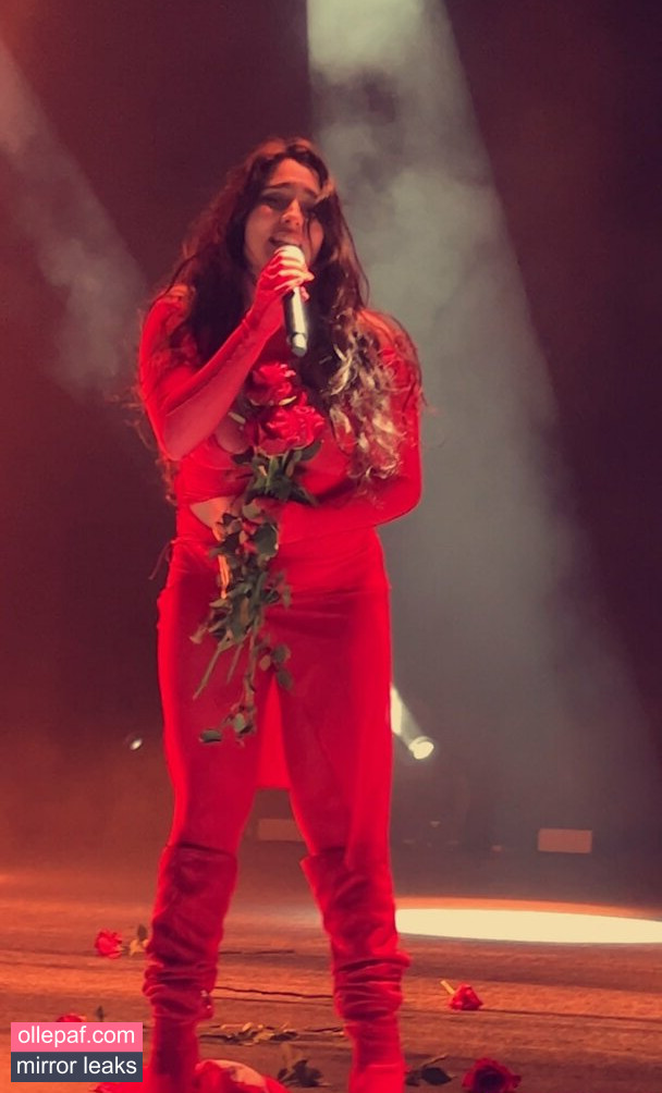 Latest Leaks Lauren Jauregui Nude #532 - Fapello