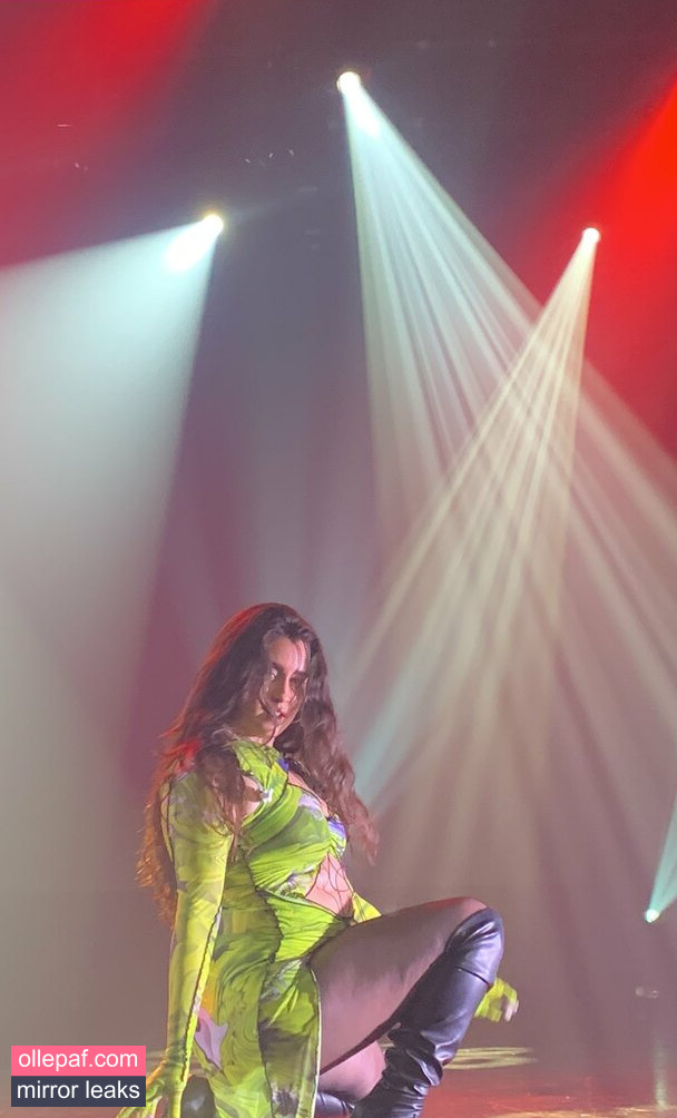 Latest Leaks Lauren Jauregui Nude #568 - Fapello