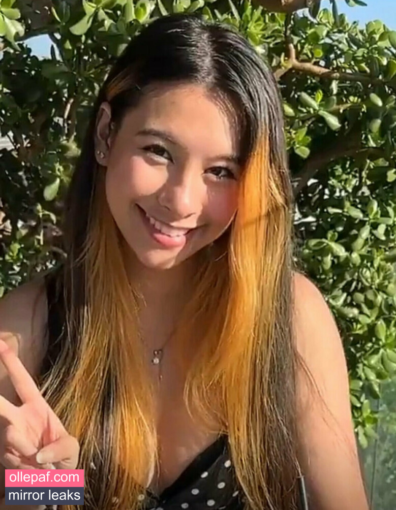 Latest Leaks lewdgamermel Nude #61 - Fapello