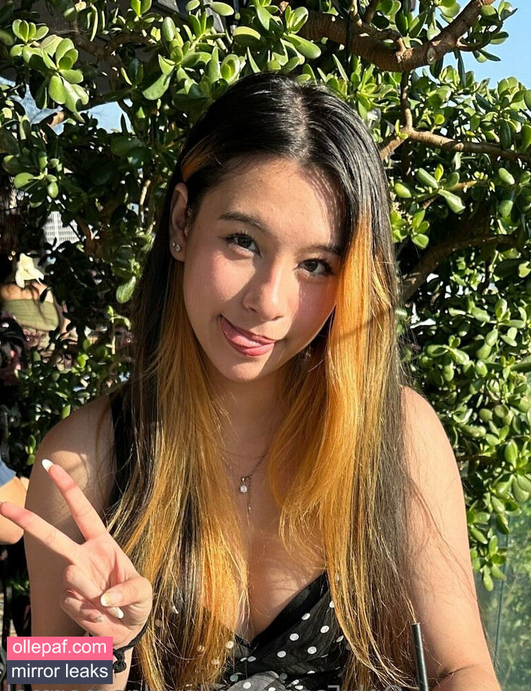 Latest Leaks lewdgamermel Nude #69 - Fapello