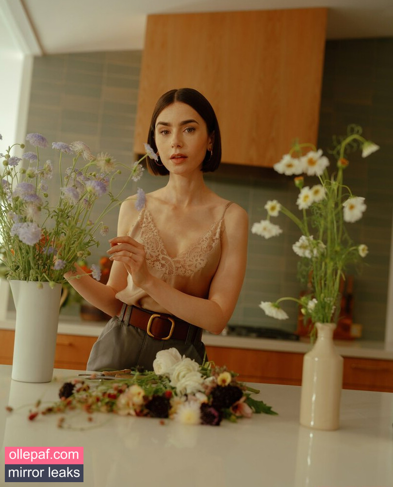 Latest Leaks Lily Collins Nude #377 - Fapello