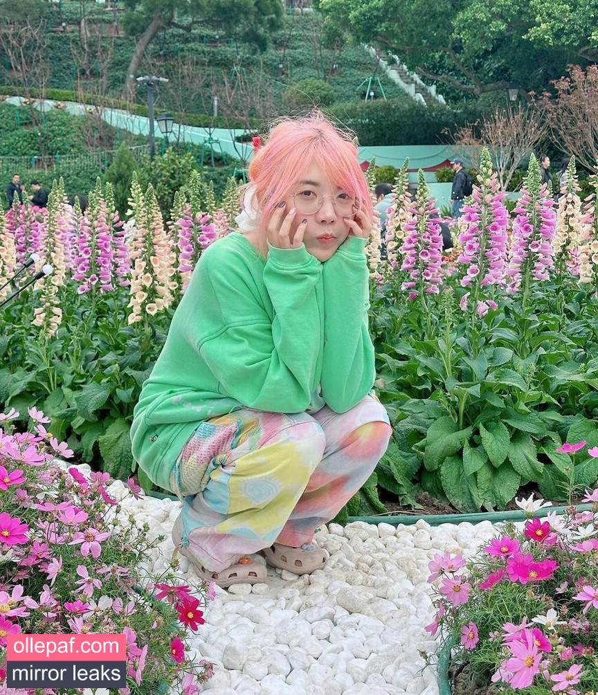 Latest Leaks LilyPichu Nude #13 - Fapello