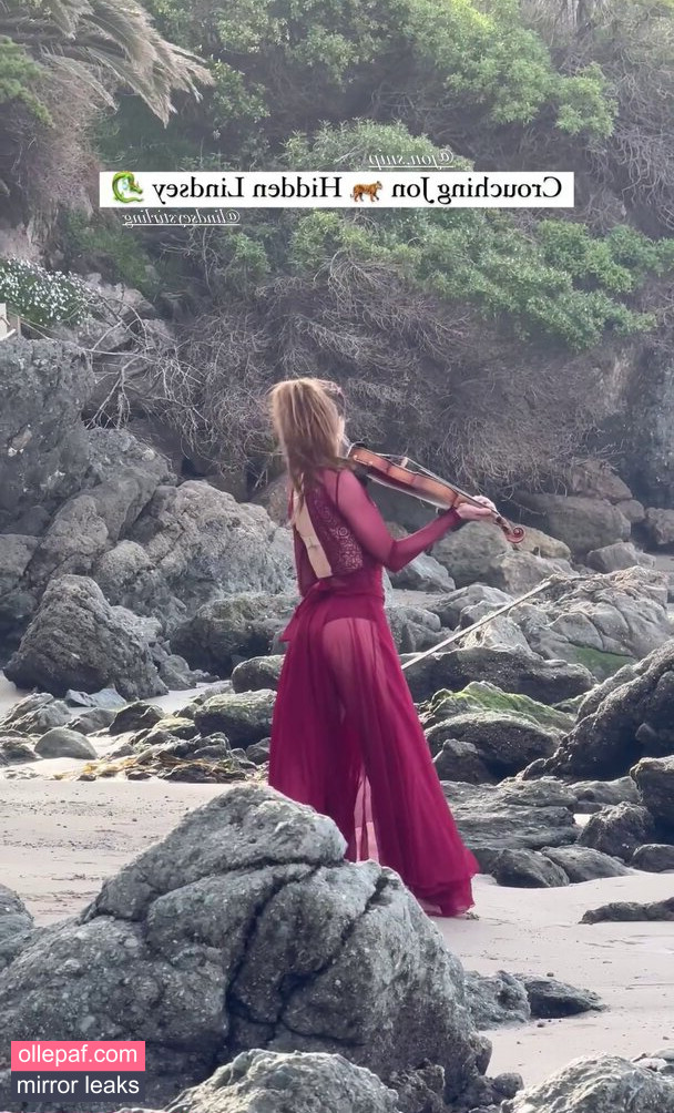 Latest Leaks Lindsey Stirling Nude #97 - Fapello