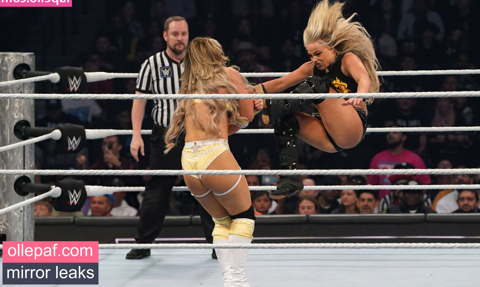 Latest Leaks Liv Morgan Nude #104 - Fapello
