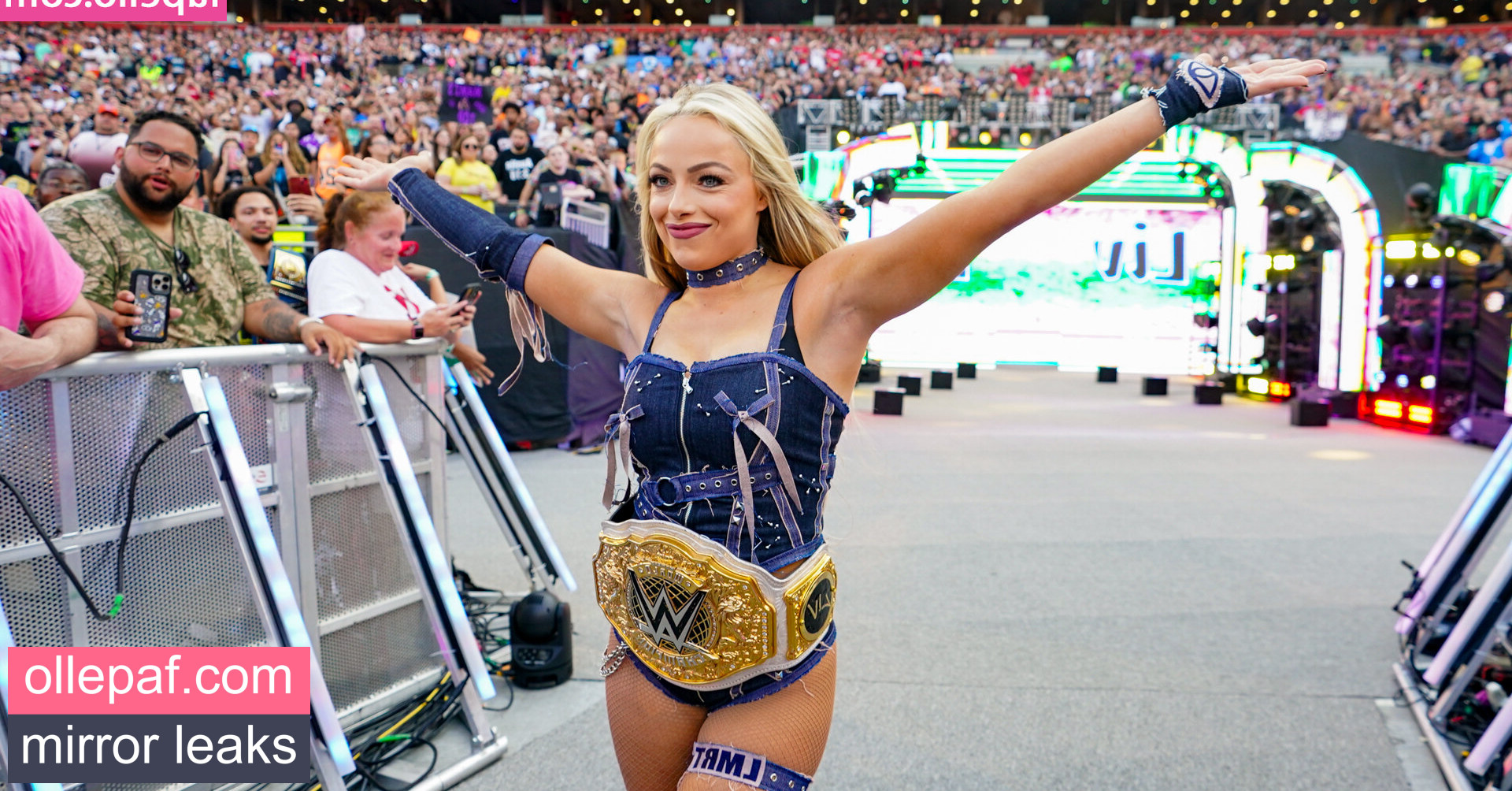 Latest Leaks Liv Morgan Nude #252 - Fapello